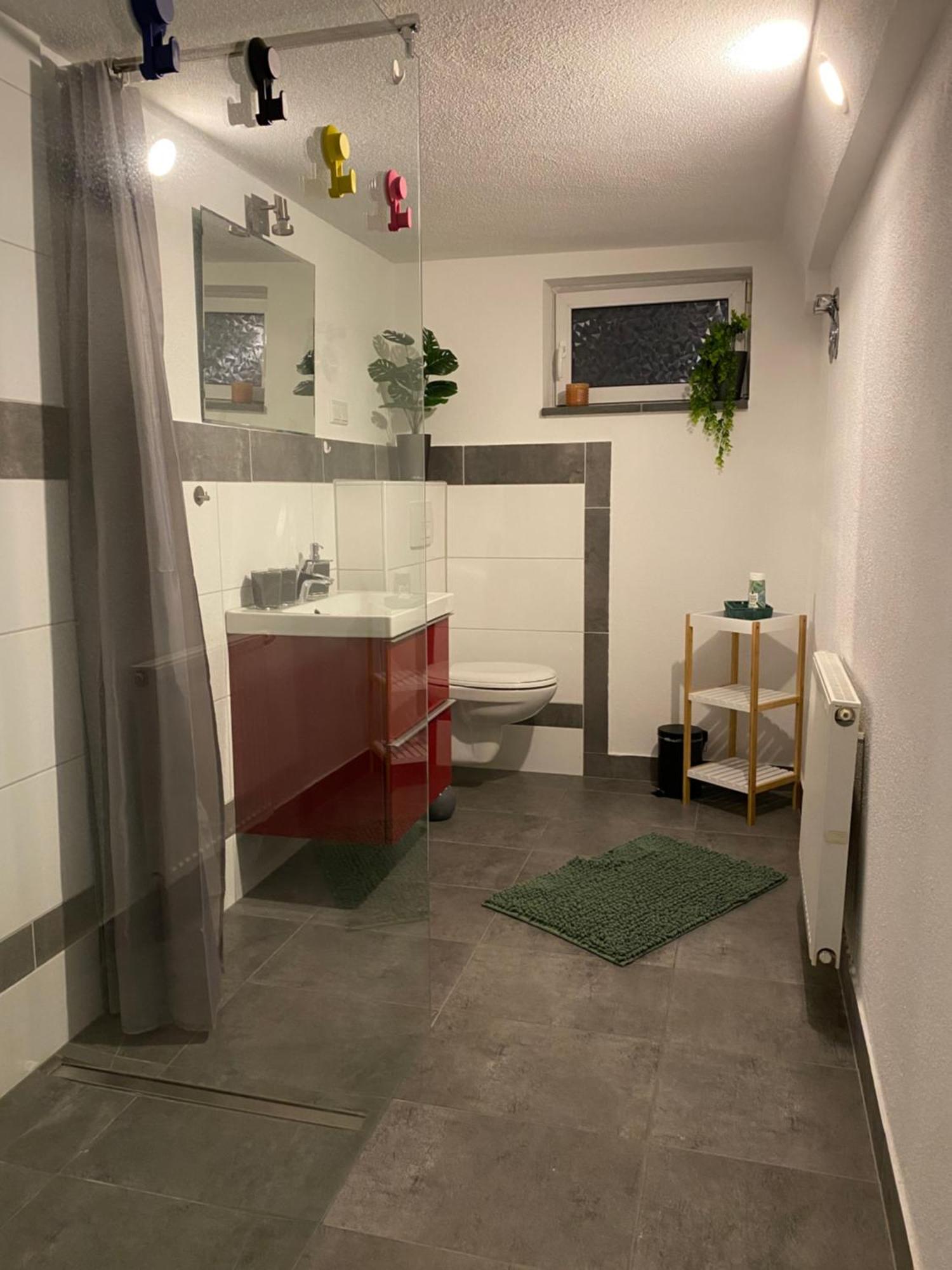 Roomy Comfort - Zwischen Heidelberg Und Mannheim *