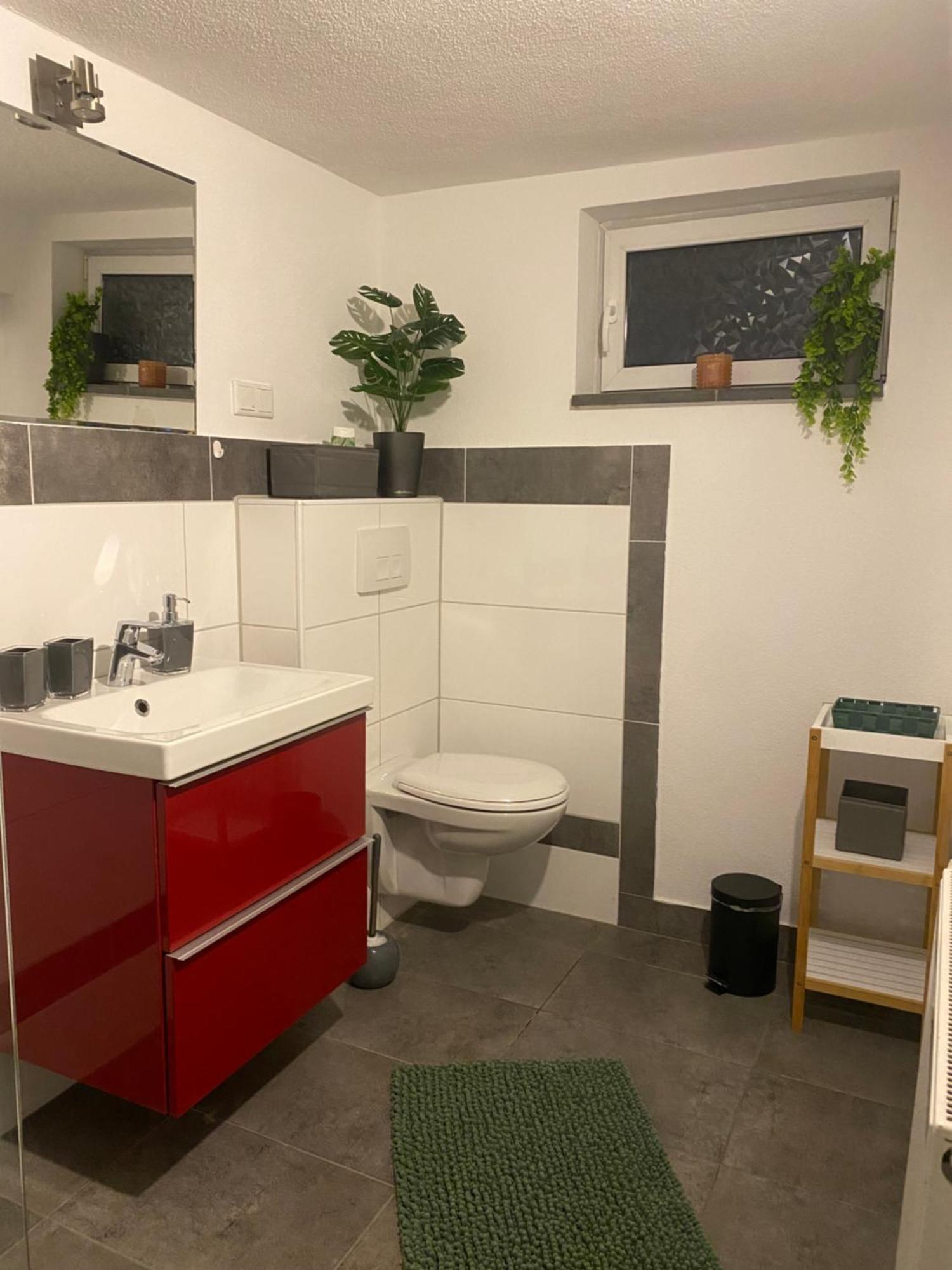 Roomy Comfort - Zwischen Heidelberg Und Mannheim Apartment Edingen-Neckarhausen