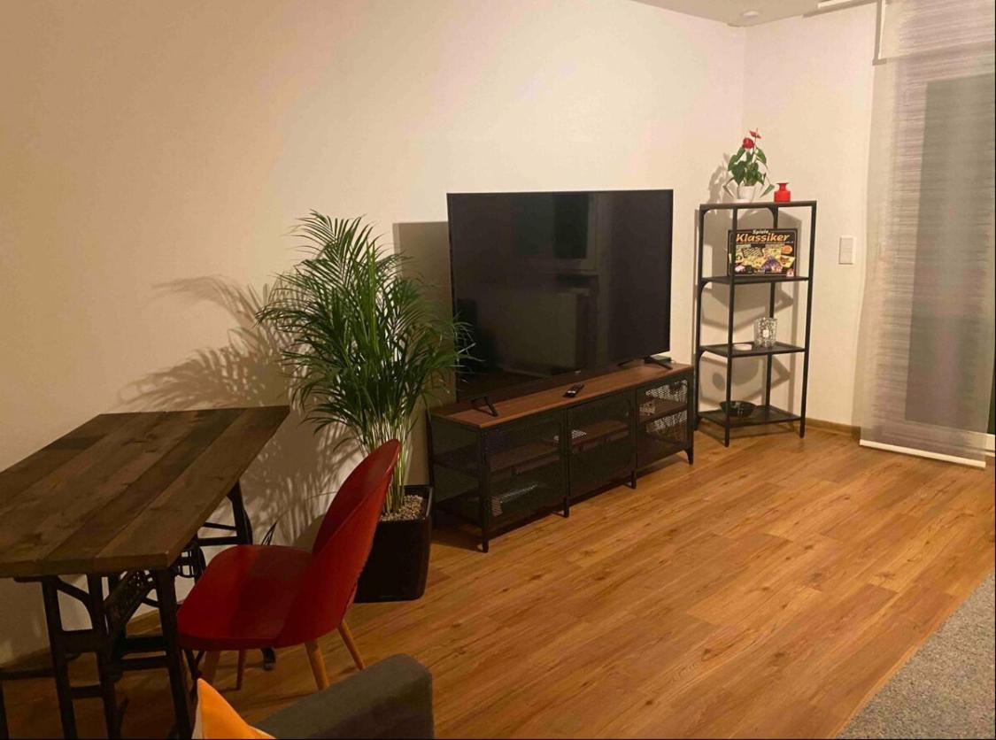 Roomy Comfort - Zwischen Heidelberg Und Mannheim Apartment Edingen-Neckarhausen